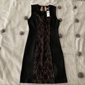 NWT BCBGMaxAzria Black Lace Panel Dress